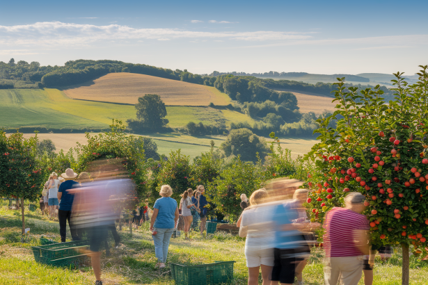 Saisonnalité agricole : quelles activités proposer aux touristes selon les périodes