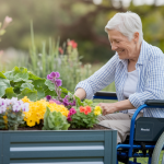 Potagers adaptés : cultiver facilement malgré les limitations physiques liées à l'âge