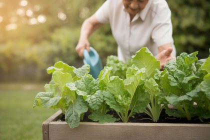 Potager thérapeutique : cultiver ses propres légumes quand on est diabétique