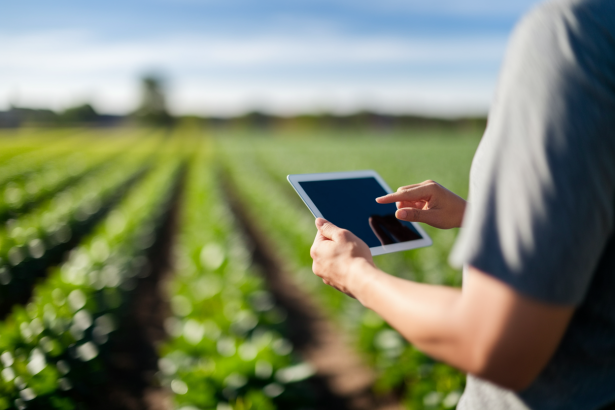 Entrepreneuriat agricole : ressources gratuites pour construire son business plan