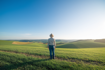 Investir dans les terres agricoles : rendement locatif et perspectives à long terme