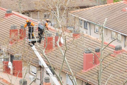 Services d'arboriculture : Transformer votre environnement extérieur